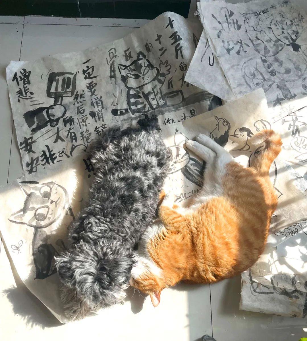 MaoMao in Daily Life